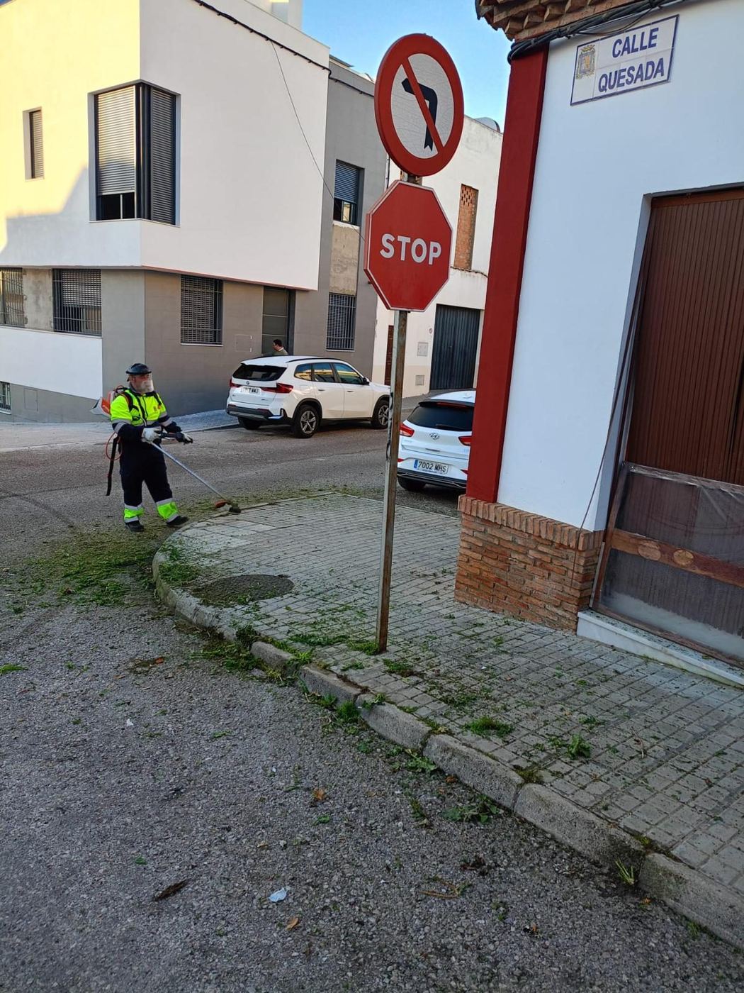 Trabajos de desbroce